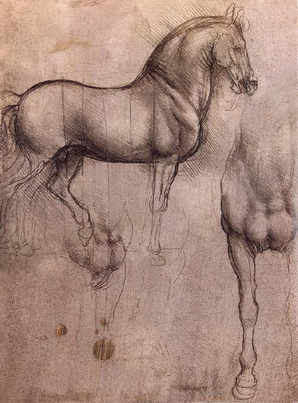 LEONARDO da Vinci Studies of horses France oil painting art